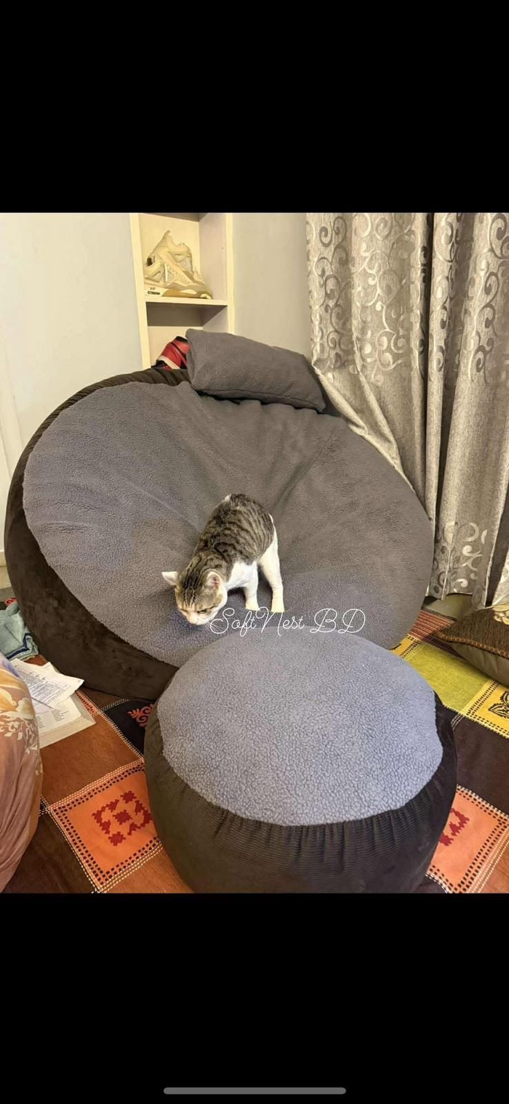 WhatsApp Image 2026-03-29 at 1.00.44 AM